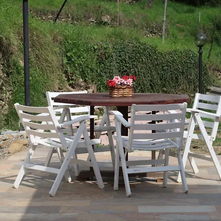 Vakantiehuis Oasi Colorata By Interhome *